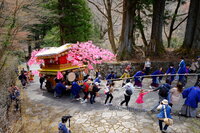 4年ぶりの実施「日光二荒山神社弥生祭　付祭」